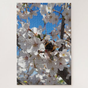 Puzzle Bumblebee en flor de cerezo salvaje