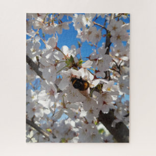 Puzzle Bumblebee en flor de cerezo salvaje