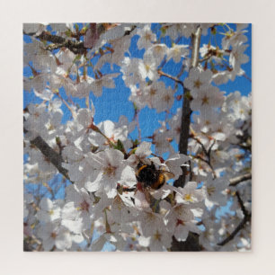 Puzzle Bumblebee en flor de cerezo salvaje
