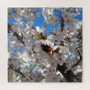 Puzzle Bumblebee en flor de cerezo salvaje