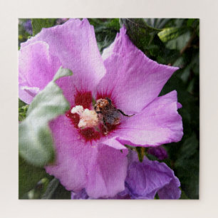Puzzle Bumblebee en la flor de Hibiscus