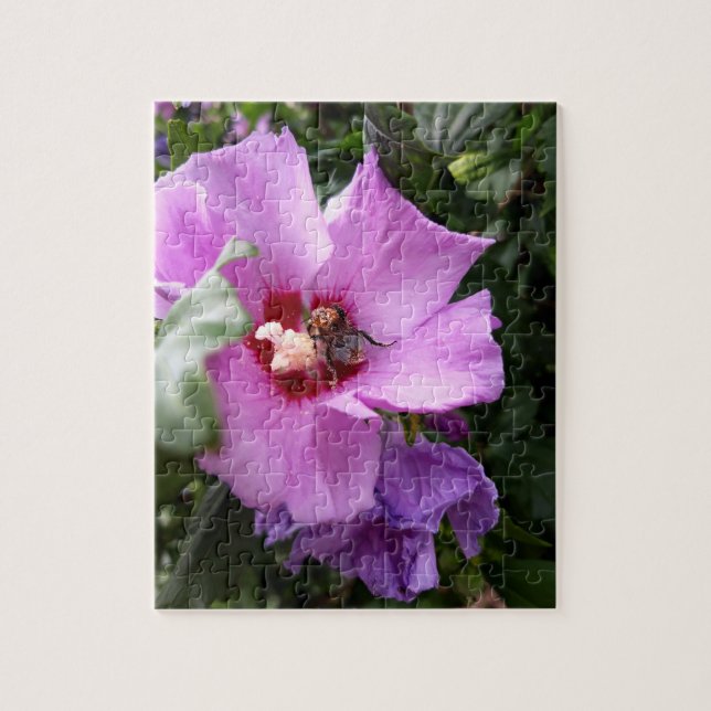 Puzzle Bumblebee en la flor de Hibiscus (Vertical)