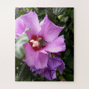 Puzzle Bumblebee en la flor de Hibiscus