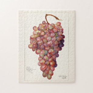 Puzzle Bunch vintage de uvas rojas con pintura de frutas