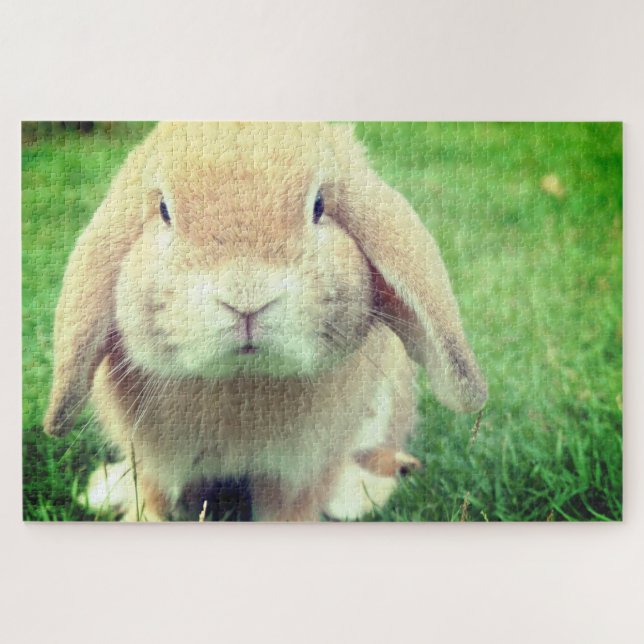 Puzzle Bunny (Horizontal)