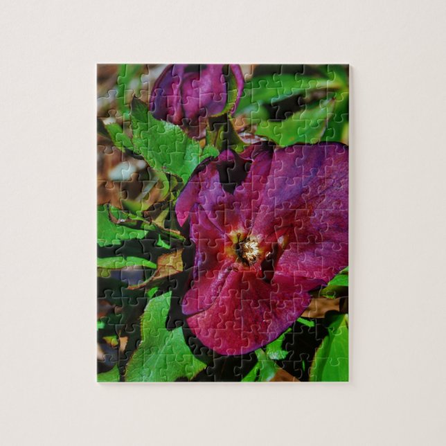 Puzzle Burgundy Pink Lenten Rose (Vertical)