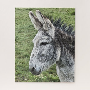 PUZZLE BURRO ADORABLE 