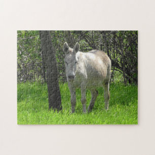 Puzzle Burro blanco en la granja en el Medio Oeste