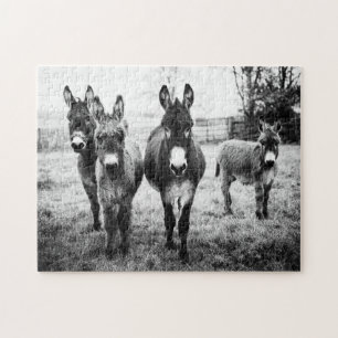 Puzzle Burros