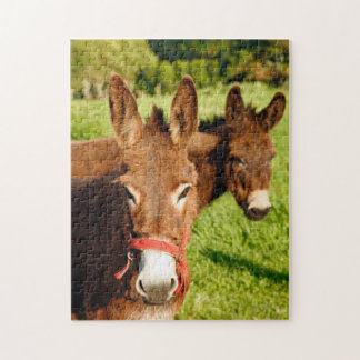 Puzzle Burros