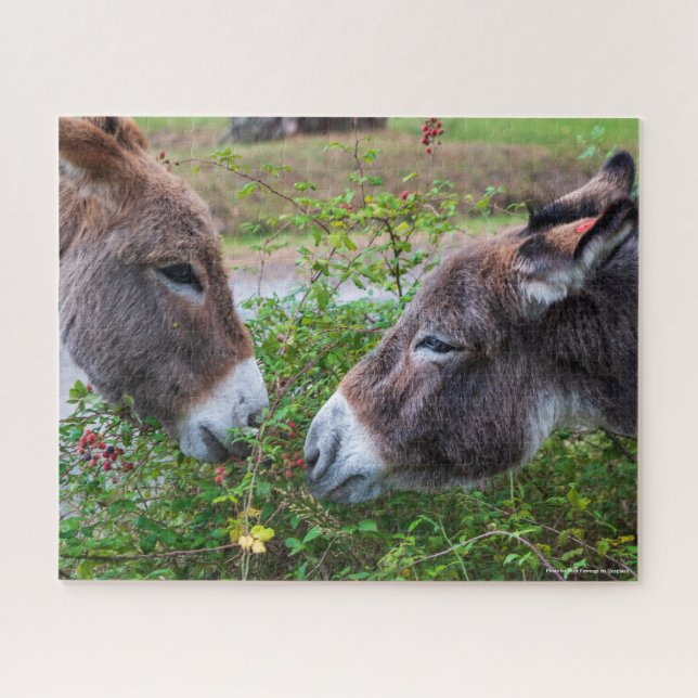 Puzzle Burros, 520 pc, (Horizontal)