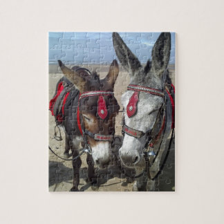 Puzzle burros de la playa