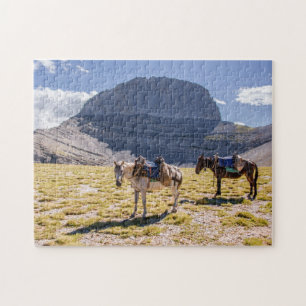 Puzzle Burros en Grecia