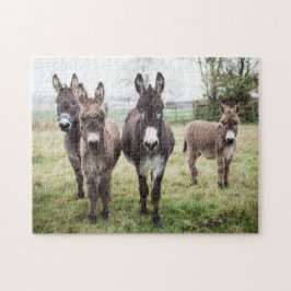 Puzzle Burros en una mañana de invierno polvorienta