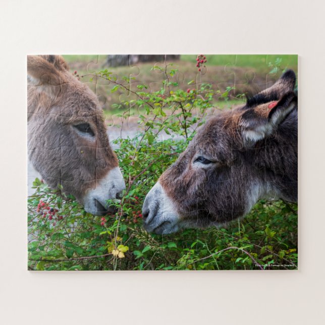 Puzzle Burros, niños, 56 piezas, (Horizontal)