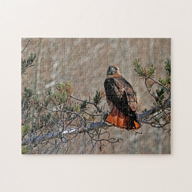 Puzzle Busardo Colirrojo (Horizontal)
