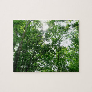Puzzle Buscando árboles de verano