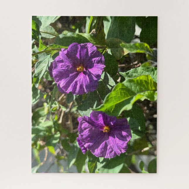 Puzzle Bush de patata púrpura, Oakland (Vertical)