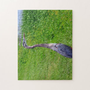 Puzzle Búsqueda de aves