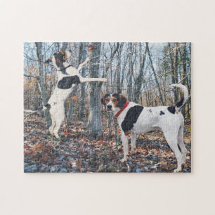Puzzle Búsqueda de los Coonhounds del caminante de