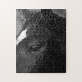 Puzzle Caballo 11x14 252pc jpcnm