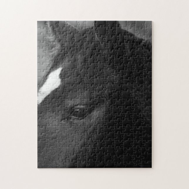 Puzzle Caballo 11x14 252pc jpcnm (Vertical)