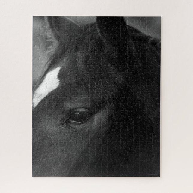 Puzzle Caballo 16x20 520pc jpcna (Vertical)