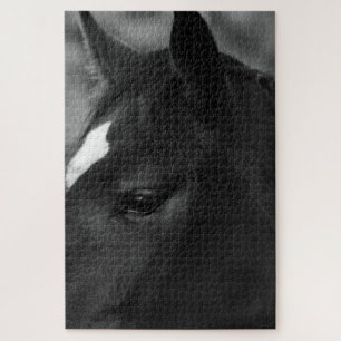 Puzzle Caballo 20x30 1014pc jpcna