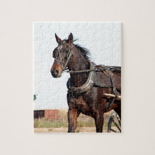 Puzzle Caballo Amish rural y buggy