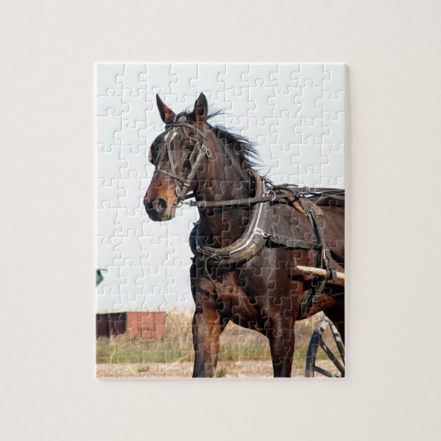 Puzzle Caballo Amish rural y buggy (Vertical)