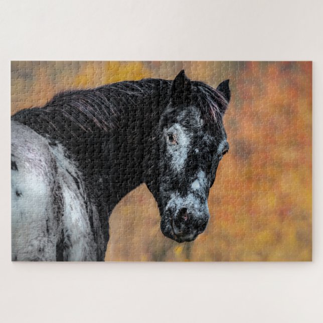 Puzzle Caballo Appaloosa con colores de otoño (Horizontal)