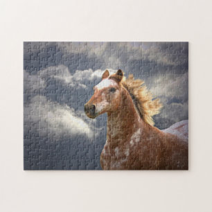Puzzle Caballo Appaloosa y nubes hermosas