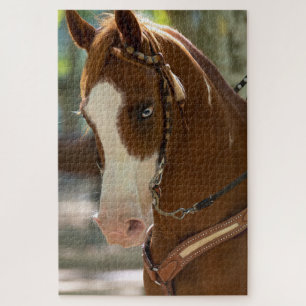 Puzzle Caballo árabe de ojos azules