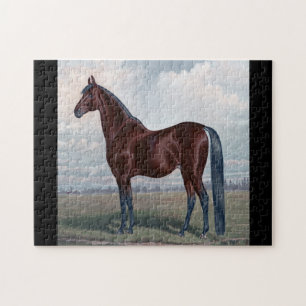 Puzzle Caballo Árabe de Pie en un Campo