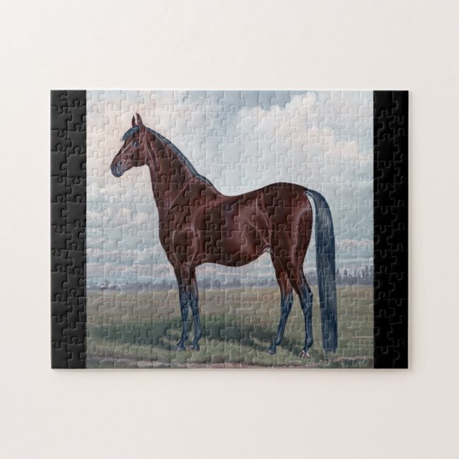 Puzzle Caballo Árabe de Pie en un Campo (Horizontal)