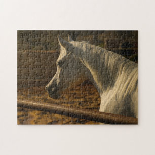 Puzzle Caballo árabe gris