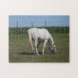 Puzzle Caballo blanco bonito