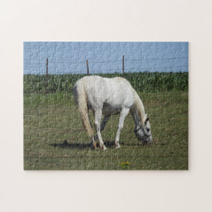 Puzzle Caballo blanco bonito