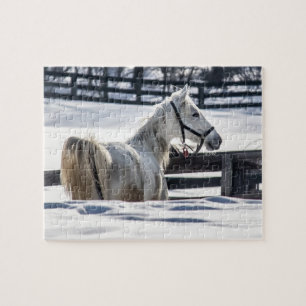 Puzzle Caballo Blanco En Nieve