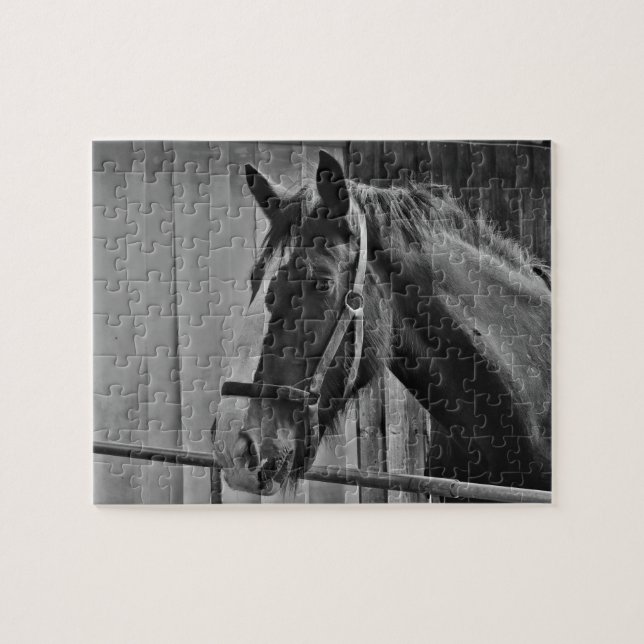 Puzzle Caballo blanco negro - Arte fotográfico animal (Horizontal)