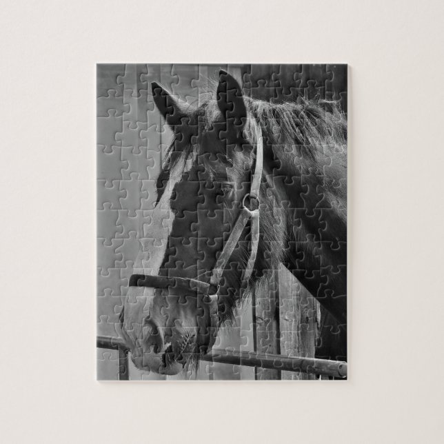 Puzzle Caballo blanco negro - Arte fotográfico animal (Vertical)