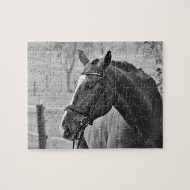 Puzzle Caballo blanco negro - Arte fotográfico animal (Horizontal)