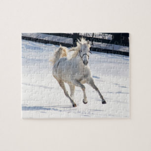 Puzzle Caballo blanco que corre en nieve