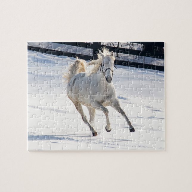 Puzzle Caballo blanco que corre en nieve (Horizontal)