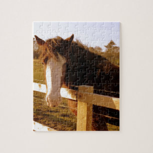 Puzzle Caballo blanco suave