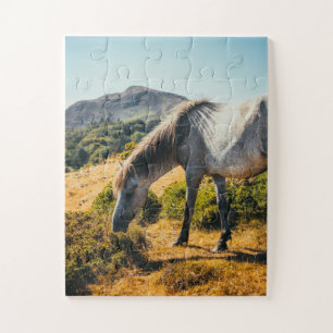 Puzzle Caballo blanco y gris resplandece con sol brillant