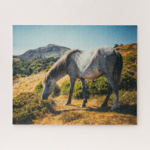 Puzzle Caballo blanco y gris resplandece con sol brillant