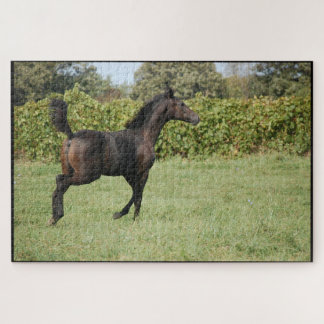 Puzzle Caballo corriendo en el campo