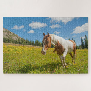 Puzzle Caballo curioso en un prado alpino en verano