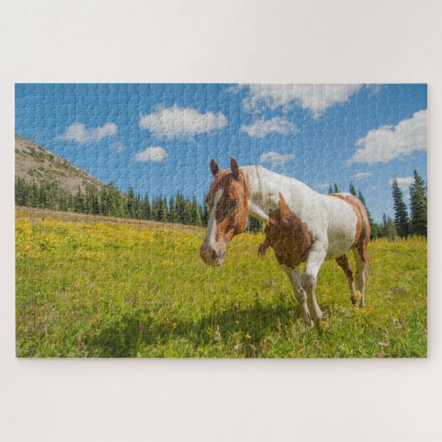 Puzzle Caballo curioso en un prado alpino en verano (Horizontal)